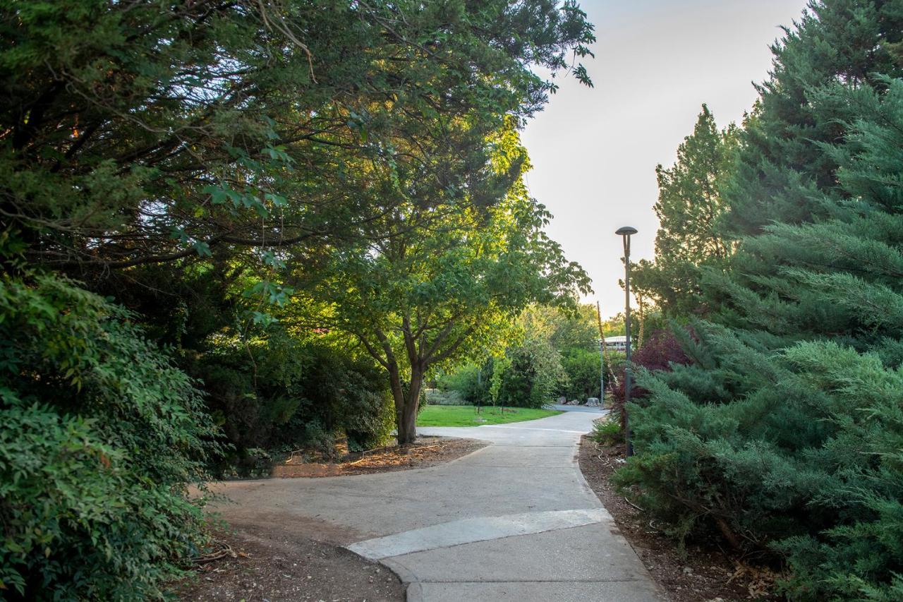 כפר הנופש קיבוץ גדות Kibbutz Gadot Galilean Resort エクステリア 写真