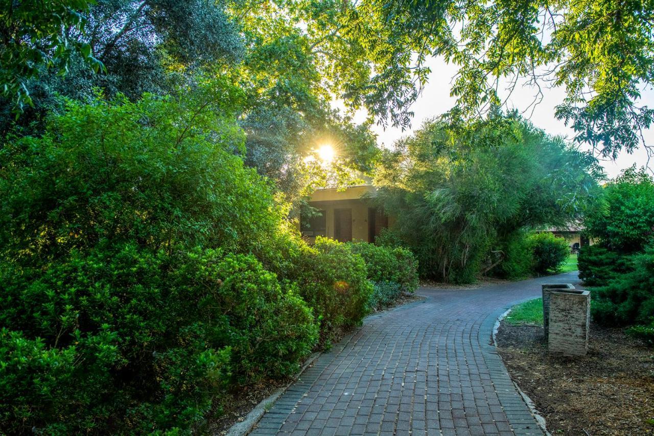 כפר הנופש קיבוץ גדות Kibbutz Gadot Galilean Resort エクステリア 写真