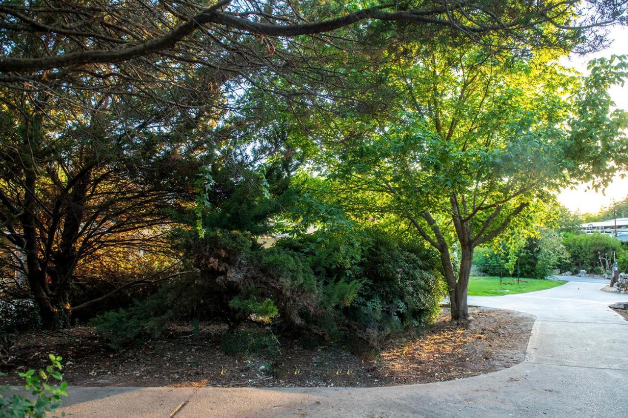 כפר הנופש קיבוץ גדות Kibbutz Gadot Galilean Resort エクステリア 写真