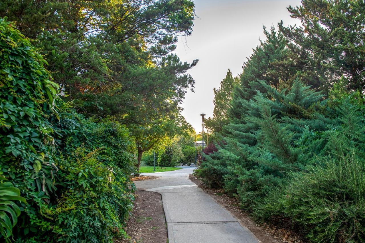 כפר הנופש קיבוץ גדות Kibbutz Gadot Galilean Resort エクステリア 写真